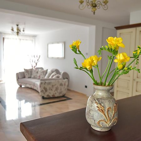 San Grecu House Lägenhet Făgăraş Exteriör bild